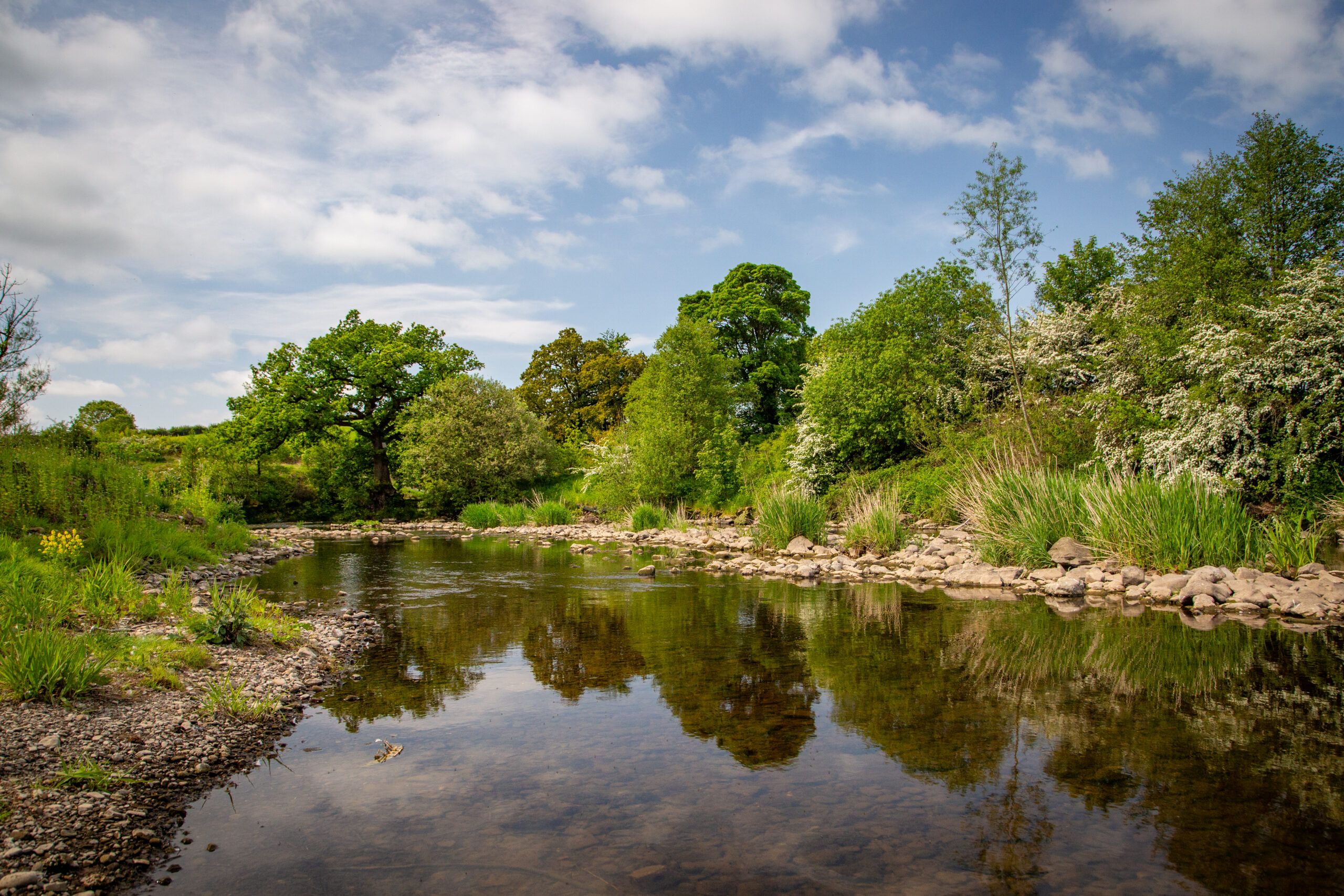 Luxury Lodges with Fishing